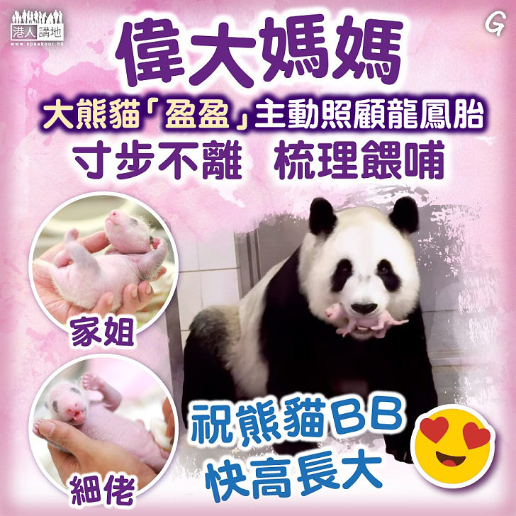 【今日網圖】偉大媽媽