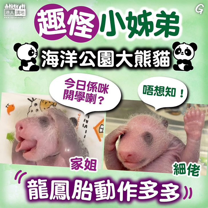 【今日網圖】趣怪小姊弟