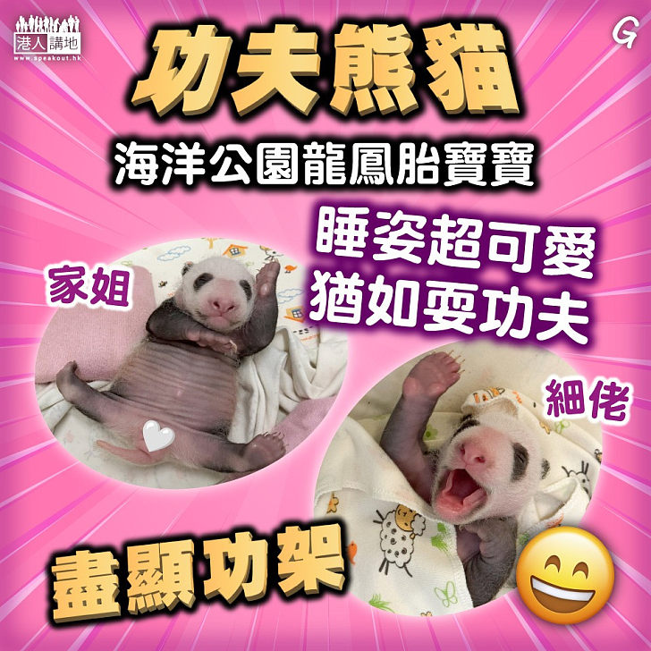 【今日網圖】功夫熊貓