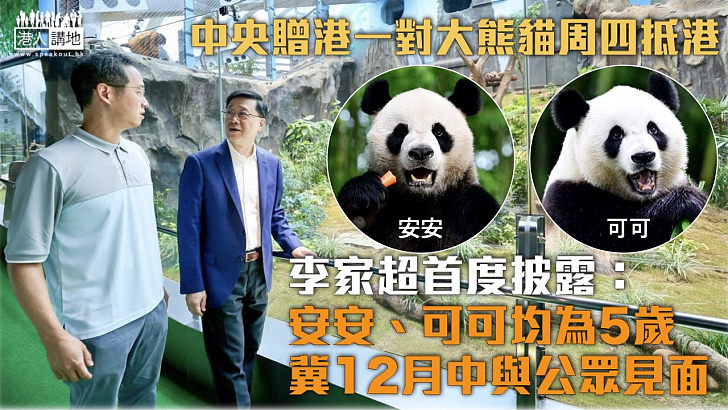 【大熊貓來港】中央贈港一對大熊貓周四抵港 李家超：均為5歲、冀12月中與公眾見面