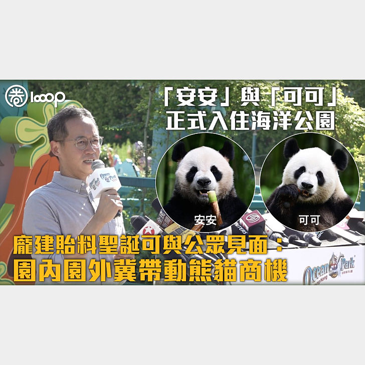 Panda Palooza Hits Hong Kong: Meet 'An'an' and 'Keke' at Ocean Park This Christmas - News Directory 3