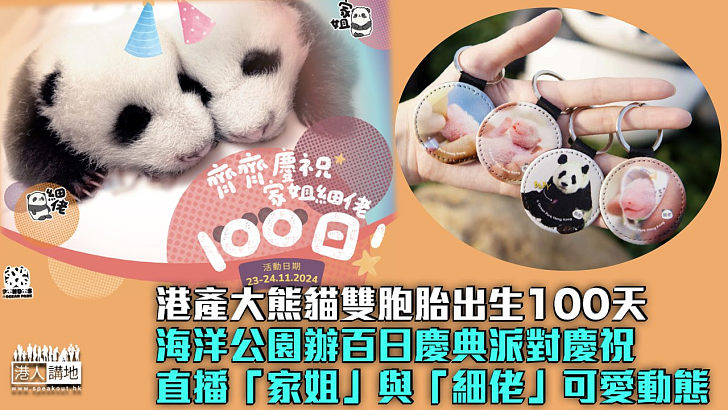 【熊貓經濟】慶祝港產大熊貓雙胞胎出生100天 海洋公園辦百日慶典派對 直播「家姐」與「細佬」可愛動態