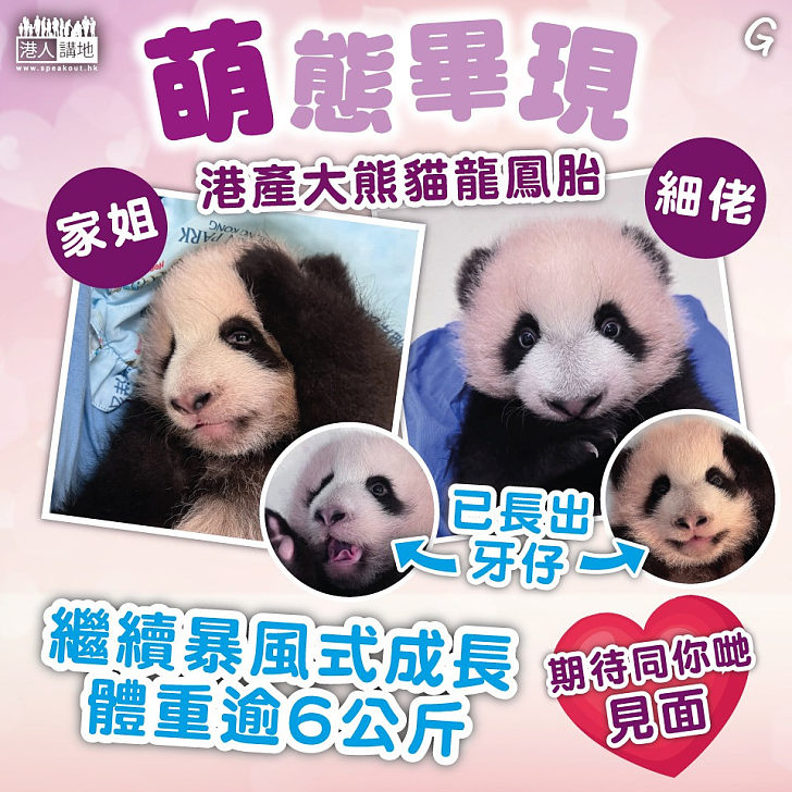 【今日網圖】萌態畢現