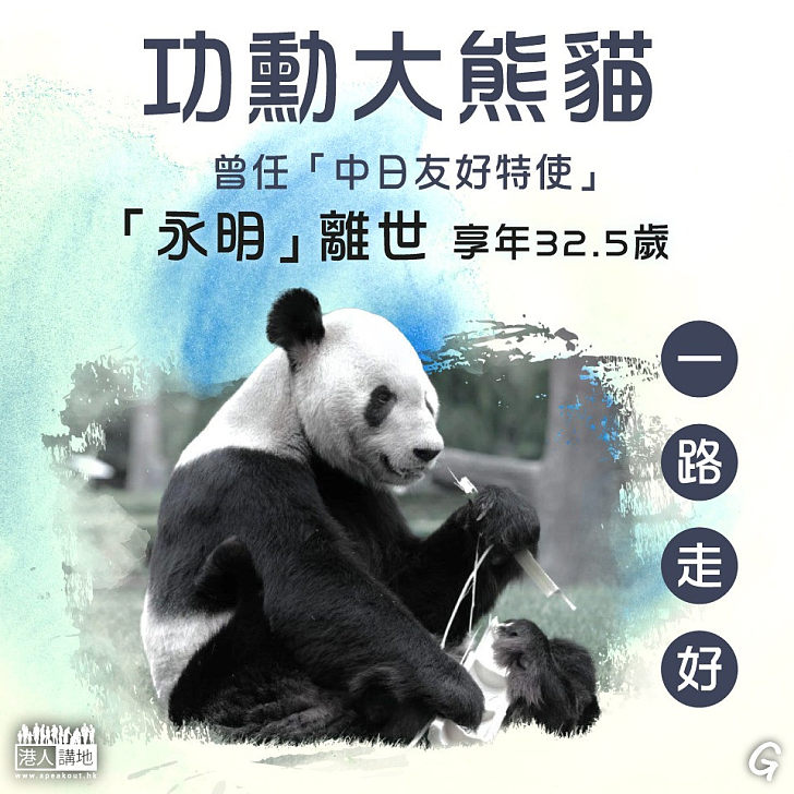 【今日網圖】功勳大熊貓