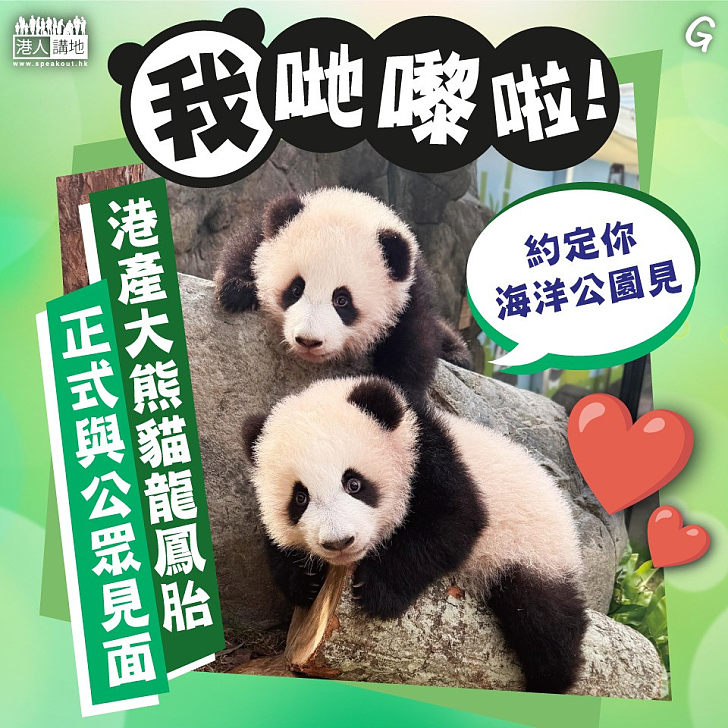 【今日網圖】我哋嚟啦！