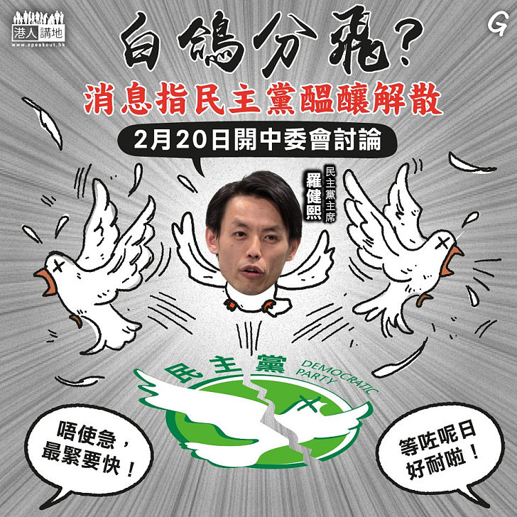 【今日網圖】白鴿分飛？