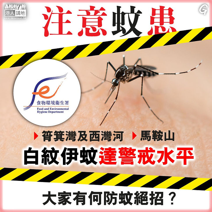 【今日網圖】注意蚊患