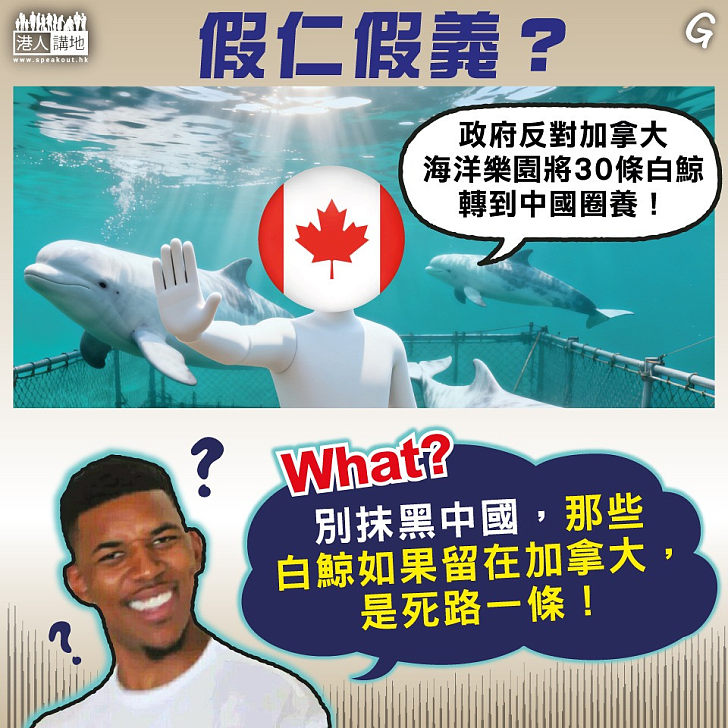 【今日網圖】假仁假義？
