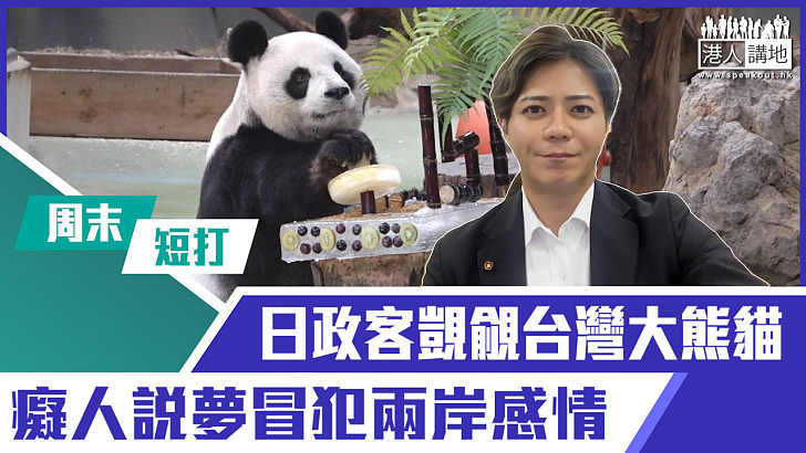 【短片】【有聲專欄】周末短打：日政客覬覦台灣大熊貓 癡人說夢冒犯兩岸感情