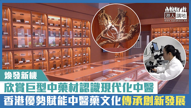 【短片】【煥發新機】欣賞巨型中藥材認識現代化中醫 香港優勢賦能中醫藥文化傳承創新發展