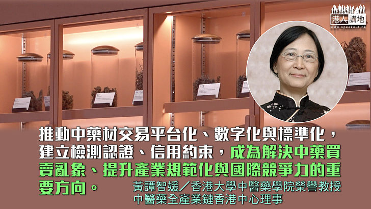 搭建中醫藥國際化平台