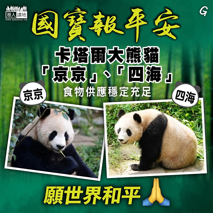 【今日網圖】國寶報平安