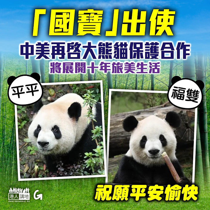 【今日網圖】「國寶」出使