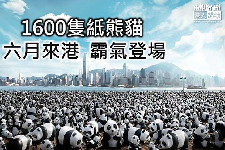 1600隻紙熊貓 六月來港 霸氣登場