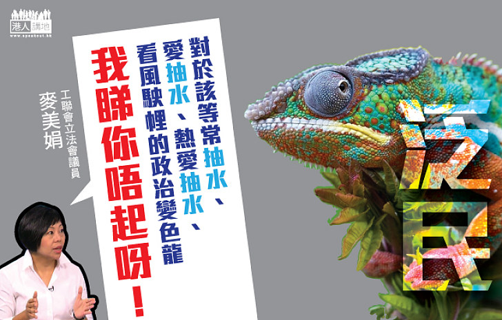 工聯會麥美娟：泛民為「抽水」而「拉布」 政治變色龍必被鄙視