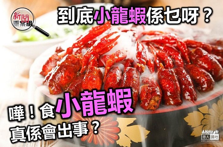 嘩！食小龍蝦會出事？到底小龍蝦係乜呀？