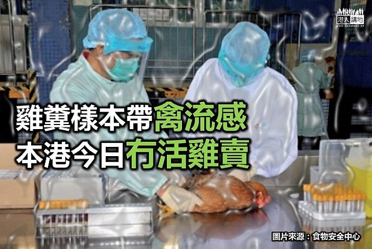 樣本驗出禽流毒 政府果斷停供應