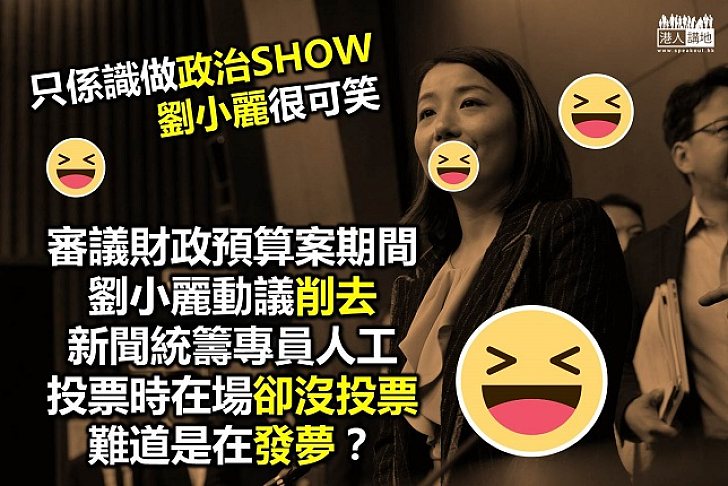 劉小麗自己提修正案 竟然又冇投票？