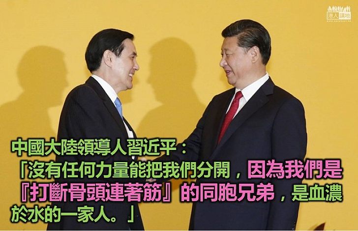 習近平：沒有力量可以把大陸和台灣分開