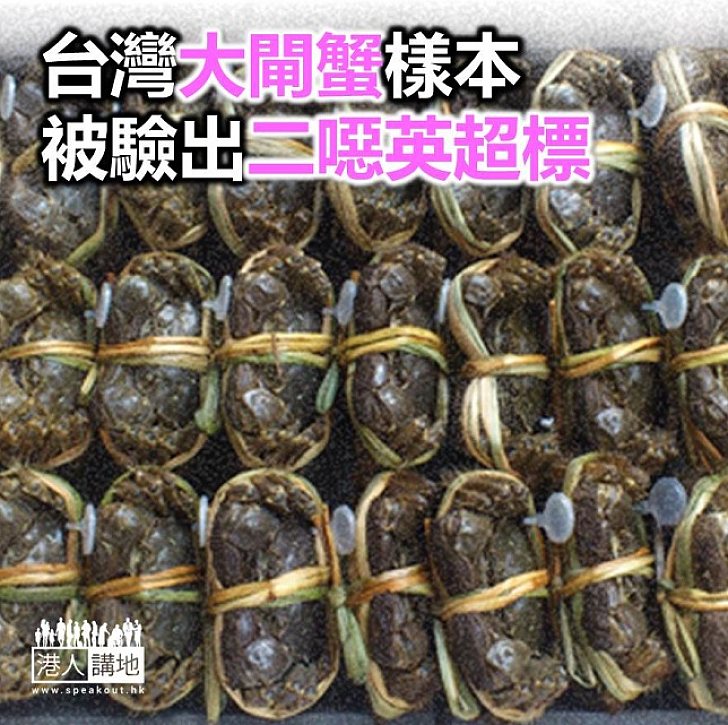 【焦點新聞】台灣桃園市大閘蟹樣本二噁英超標