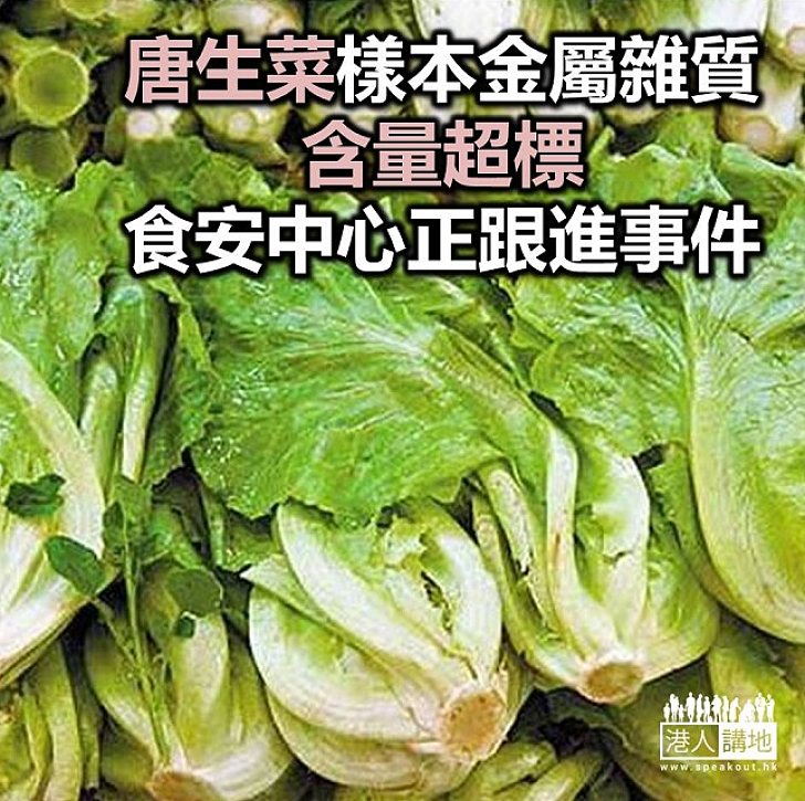 【焦點新聞】唐生菜樣本金屬雜質含量超出法例標準