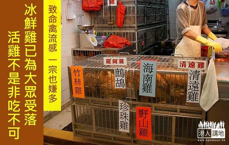 禽流感一宗也嫌多，活雞是否非吃不可？