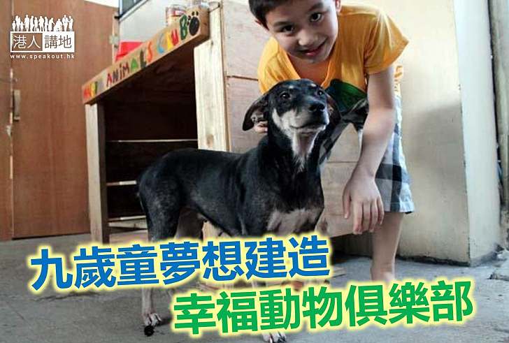 【好人好事】小孩子大夢想  給流浪動物一個家