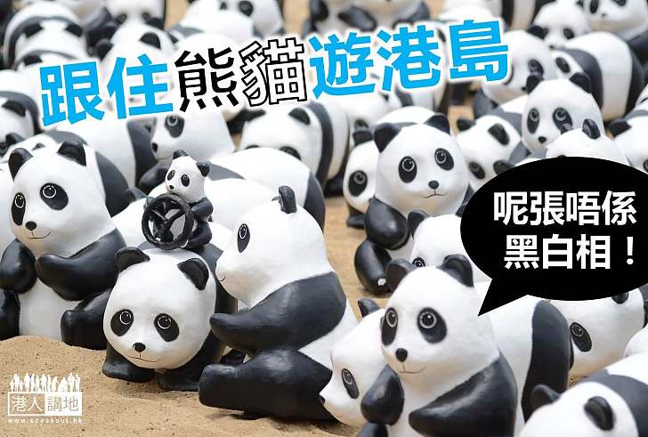 【環境保育】熊貓快閃團 下一站去邊？