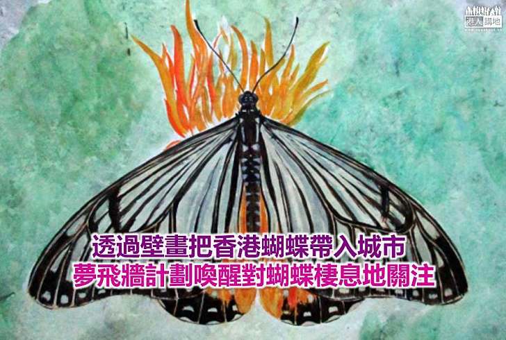 【社區保育】透過壁畫把香港蝴蝶帶入城市 夢飛牆計劃喚醒對蝴蝶棲息地關注