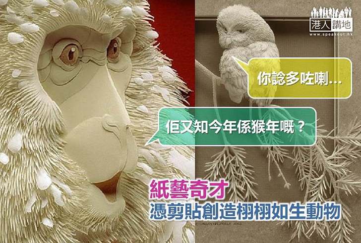 【世界搜奇】紙藝奇才 憑剪貼創造栩栩如生動物