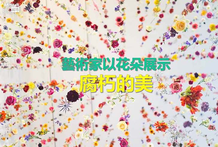 【世界搜奇】藝術家以花朵展示「腐朽的美」