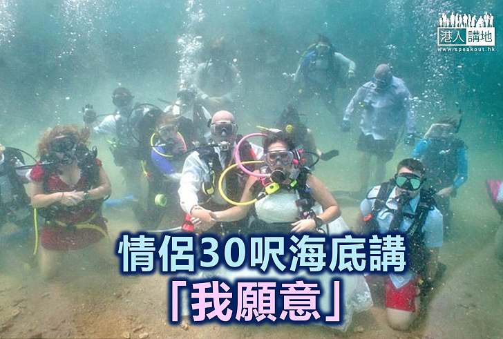 【世界搜奇】大西洋水底婚禮  鯊魚當座上客