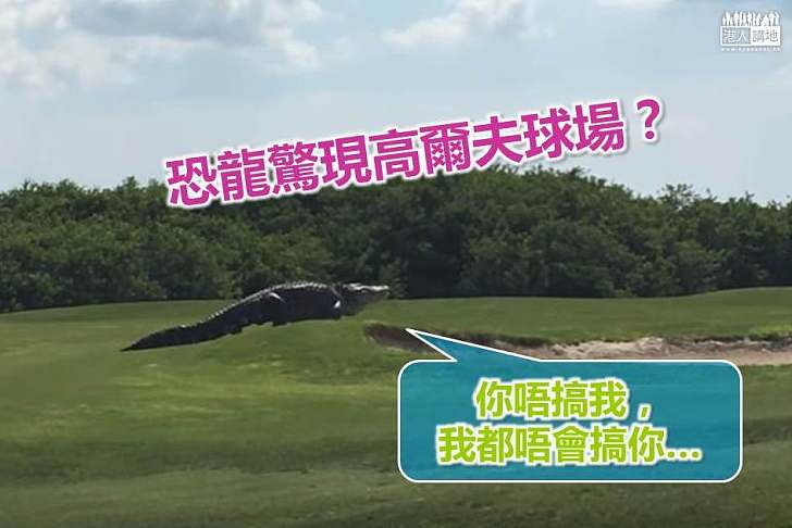 【世界搜奇】恐龍驚現高爾夫球場?