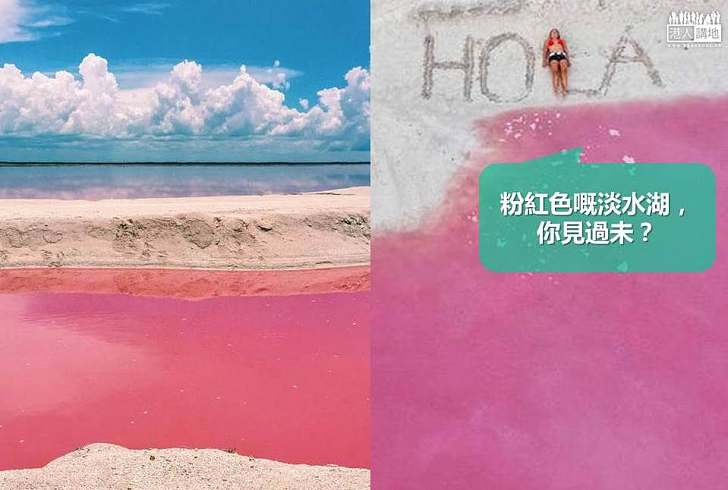 【世界搜奇】 墨西哥粉紅色淡水湖 彷如人間仙景