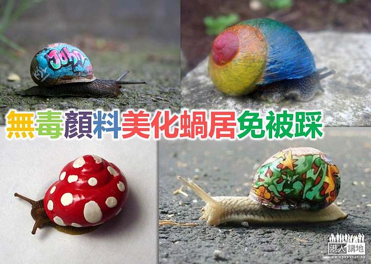 【世界搜奇】改造蝸牛的家 色彩繽紛免被踩碎