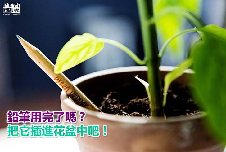 【綠色生活】鉛筆用盡可種植物