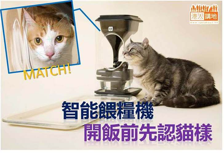 【生活科技】智能餵糧機睇貓樣開飯