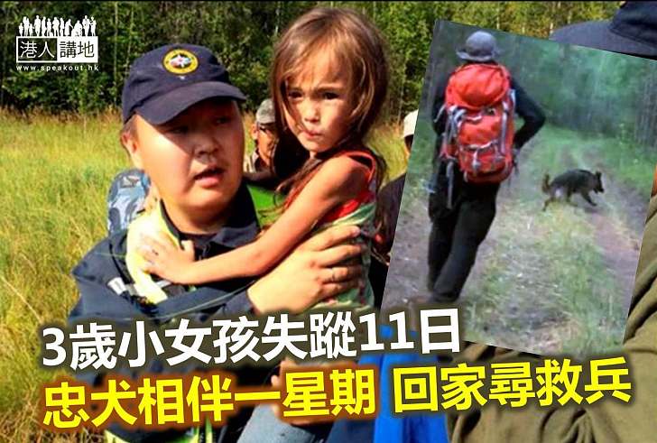 【世界搜奇】忠犬尋救兵 西伯利亞小女孩失蹤11日後獲救
