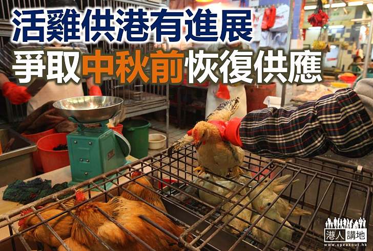 政府爭取中秋前恢復活雞供應