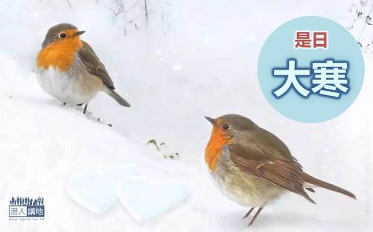 【廿四節氣】過了大寒 又是一年