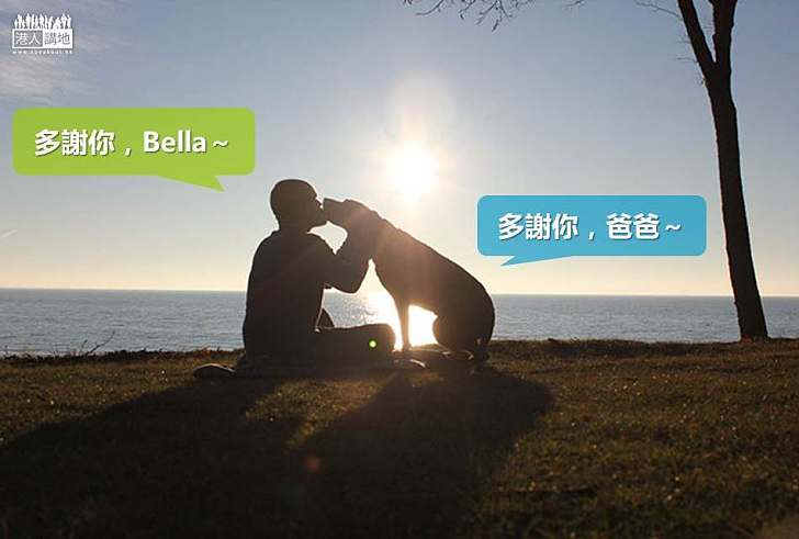 【暖心故事】男子與患癌狗狗踏上延命公路旅行