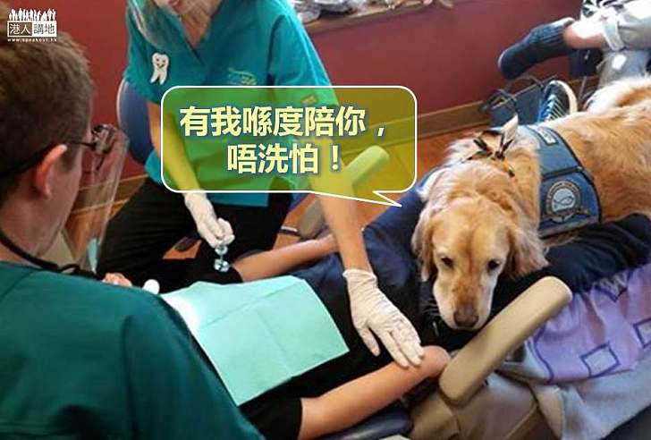 【暖心故事】狗狗伸出溫暖爪爪 見牙醫不再是苦差