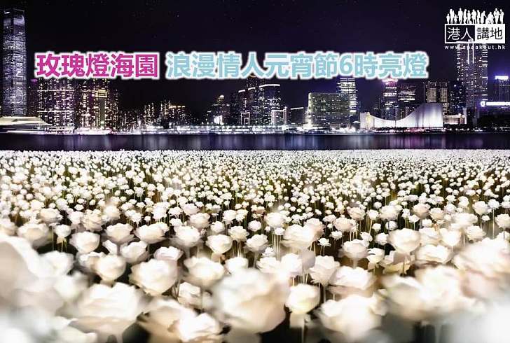 【香港好去處】玫瑰燈海園 浪漫情人元宵節6時亮燈