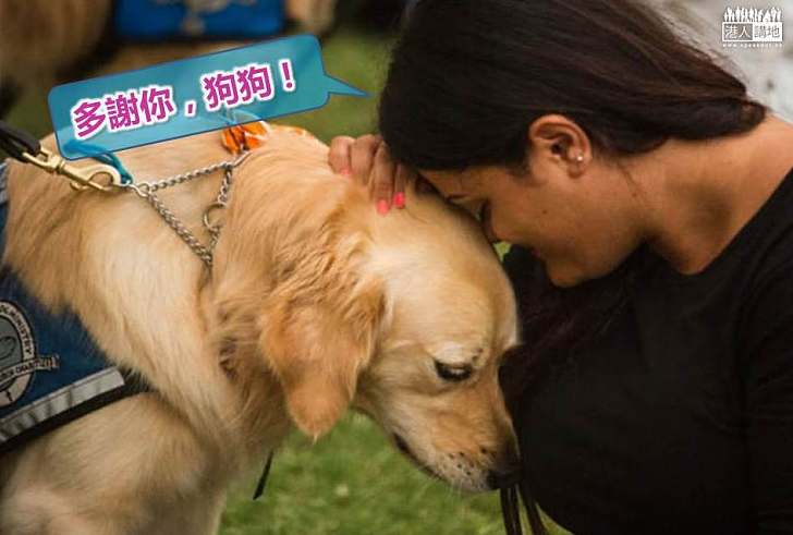 【暖心故事】撫慰犬飛數百里赴奧蘭多 慰藉槍擊案受害者