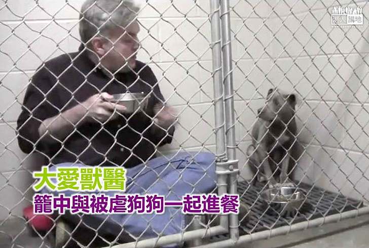 【暖心故事】大愛獸醫籠中與被虐狗狗一起進餐