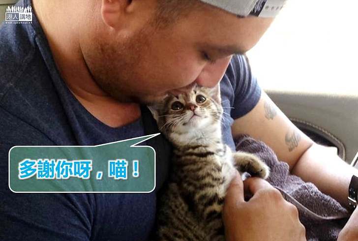 【暖心故事】獲救貓貓嘴角上揚 閃閃發光眼睛說:「多謝你!」
