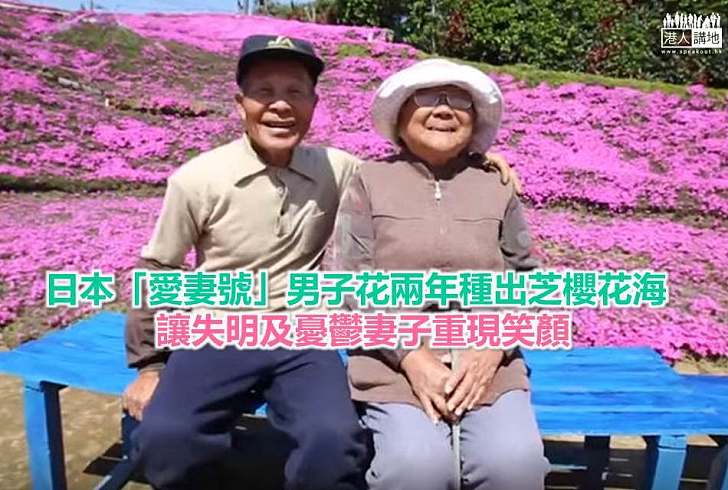 【暖心故事】日本「愛妻號」男子花兩年種出芝櫻花海 讓失明及憂鬱妻子重現笑顏