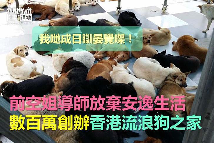 【好人好事】前空姐導師放棄安逸生活 數百萬創辦香港流浪狗之家
