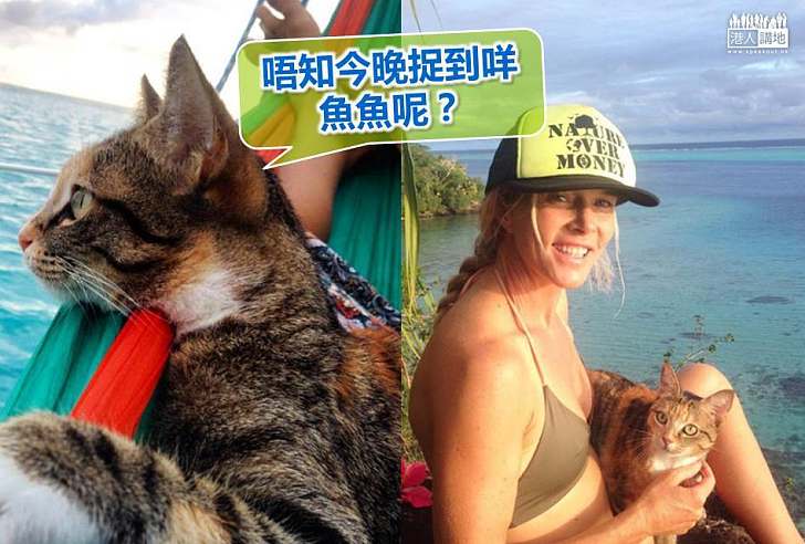 【動物奇趣】流浪貓轉戰海洋 與主人揚帆遊世界