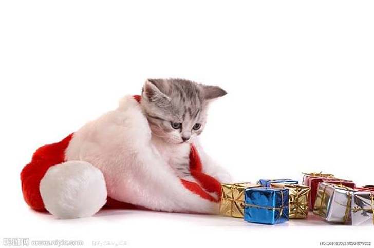 【生活小百科】Boxing Day，你拆咗禮物未？